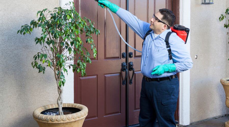 Why choose Ant Control Rim Country Museum and Zane Grey Cabin for ant control in Rim Country Museum and Zane Grey Cabin